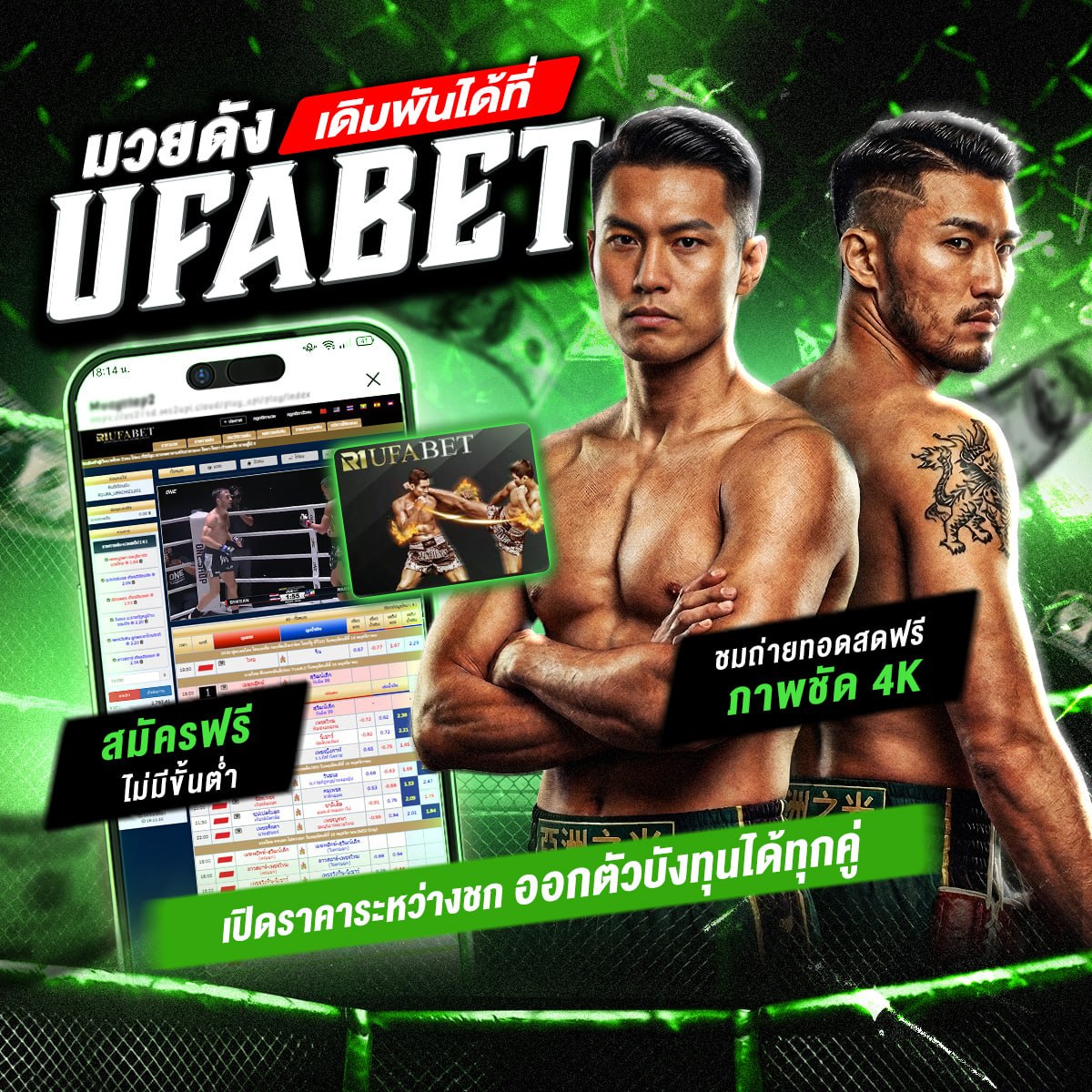 ���꡷���Ҿ