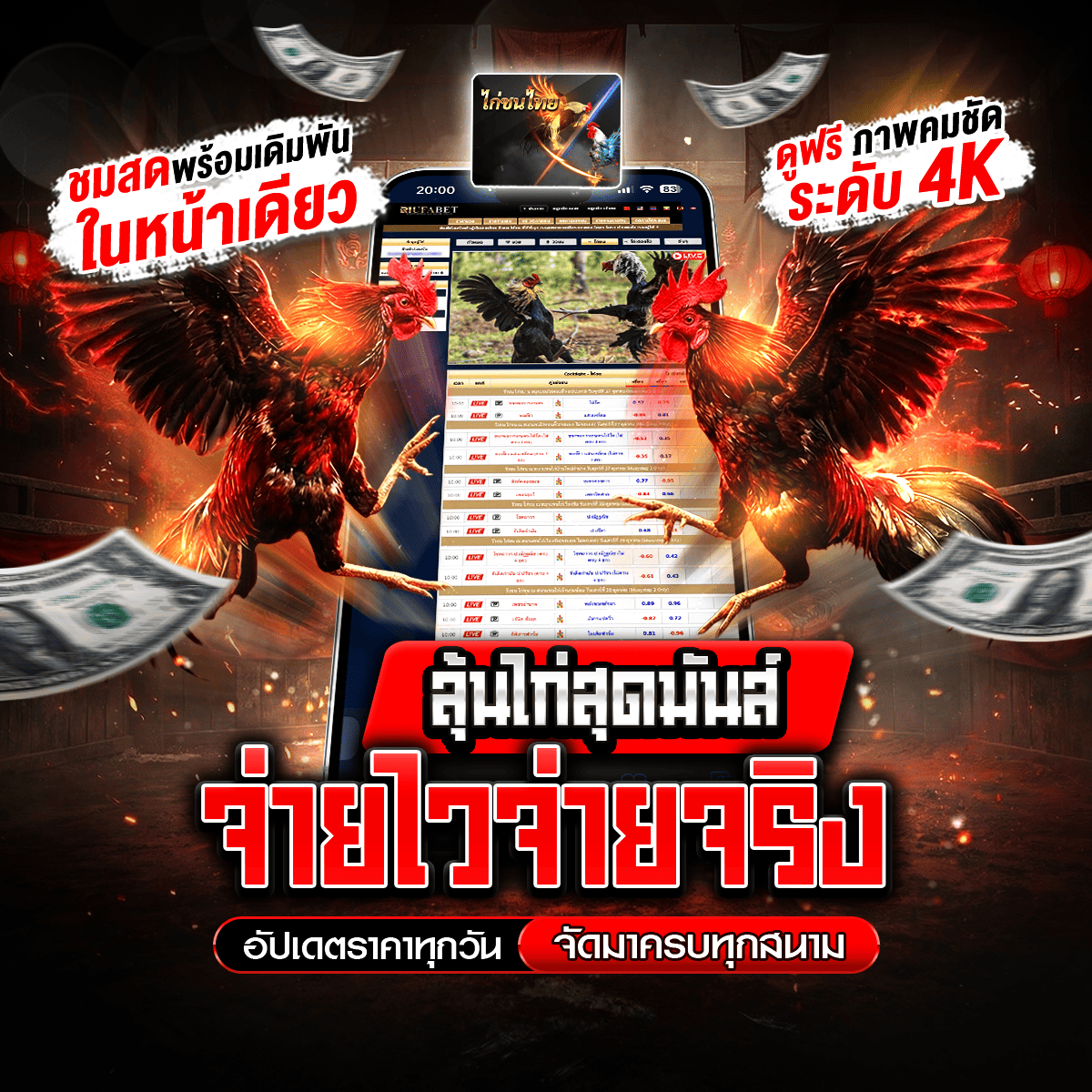 ���꡷���Ҿ