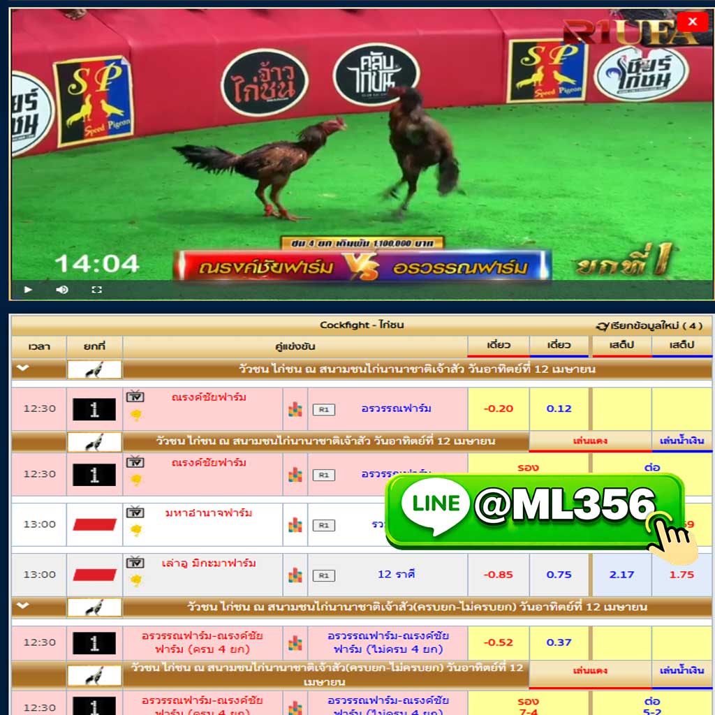 ���꡷���Ҿ